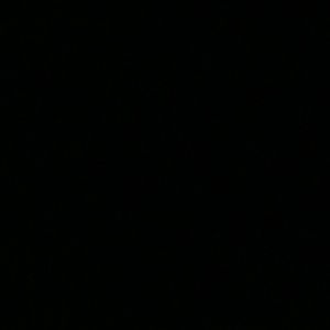 Meet your Posher, Annette